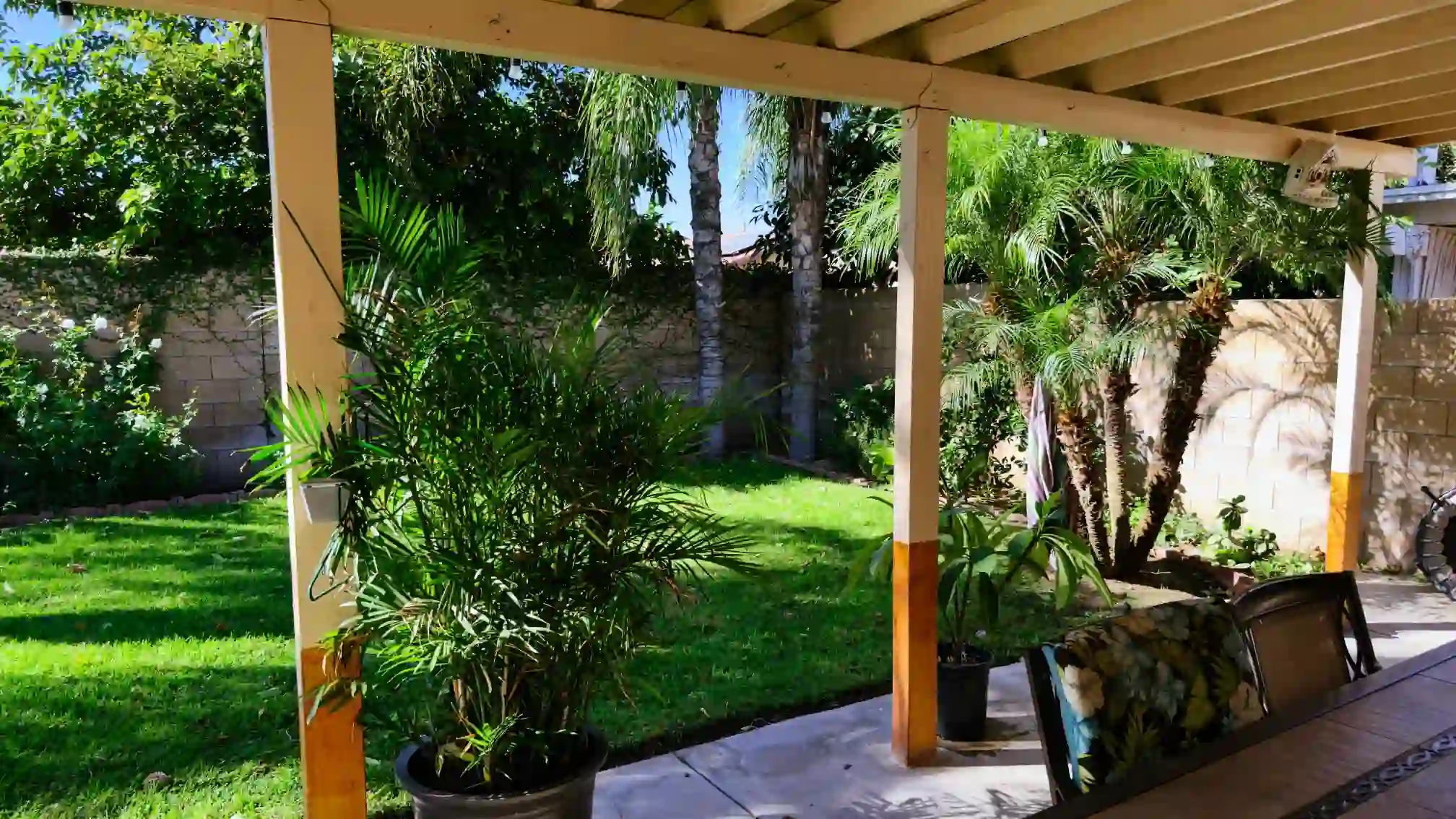 A thumbnail for a clickable image of the yard.