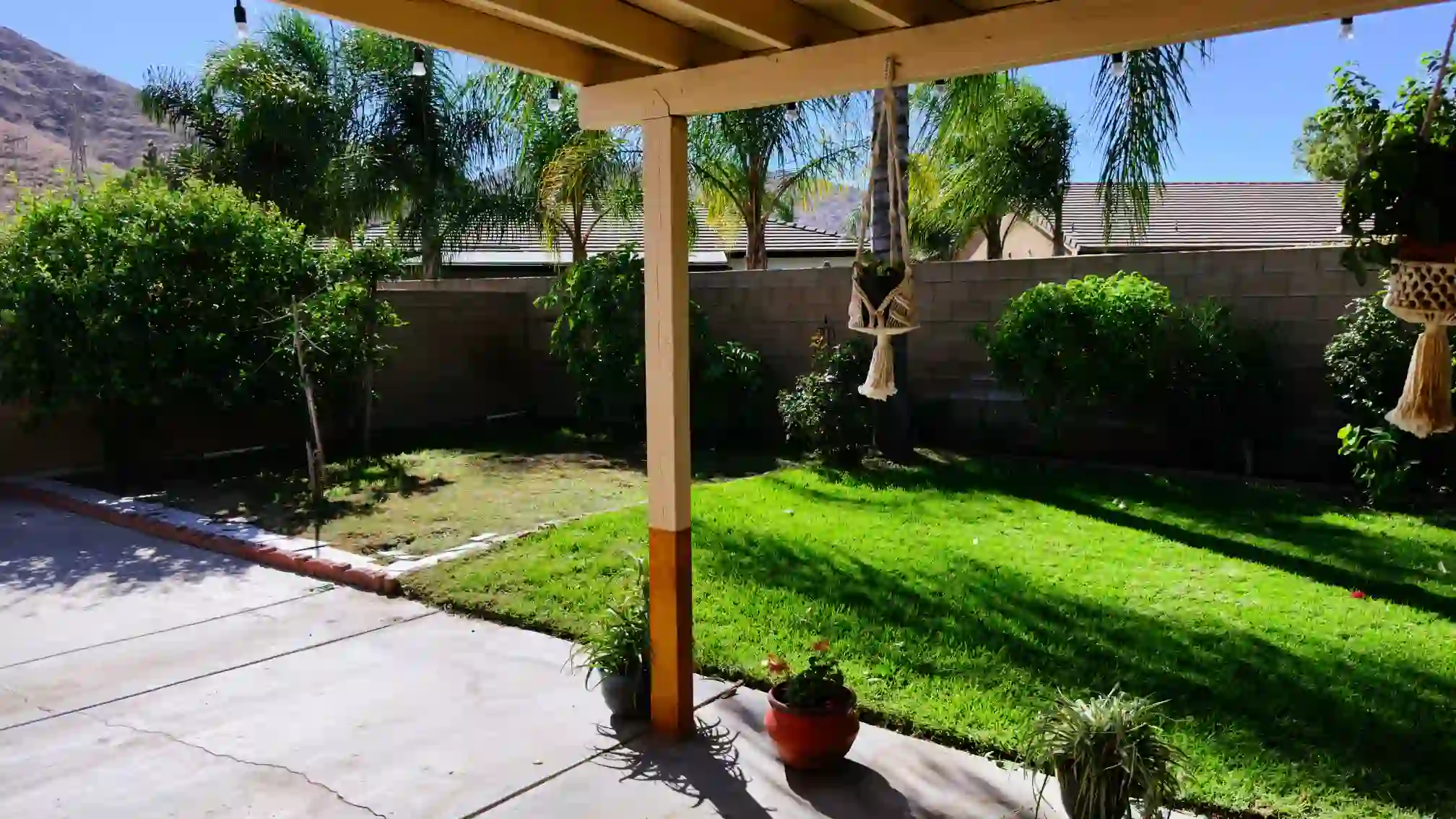 A thumbnail for a clickable image of the yard.