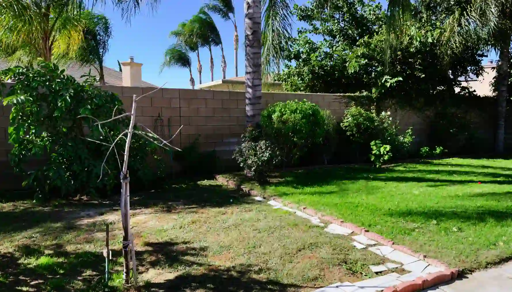 A thumbnail for a clickable image of the yard.