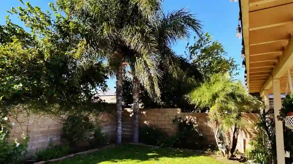 A thumbnail for a clickable image of the yard.