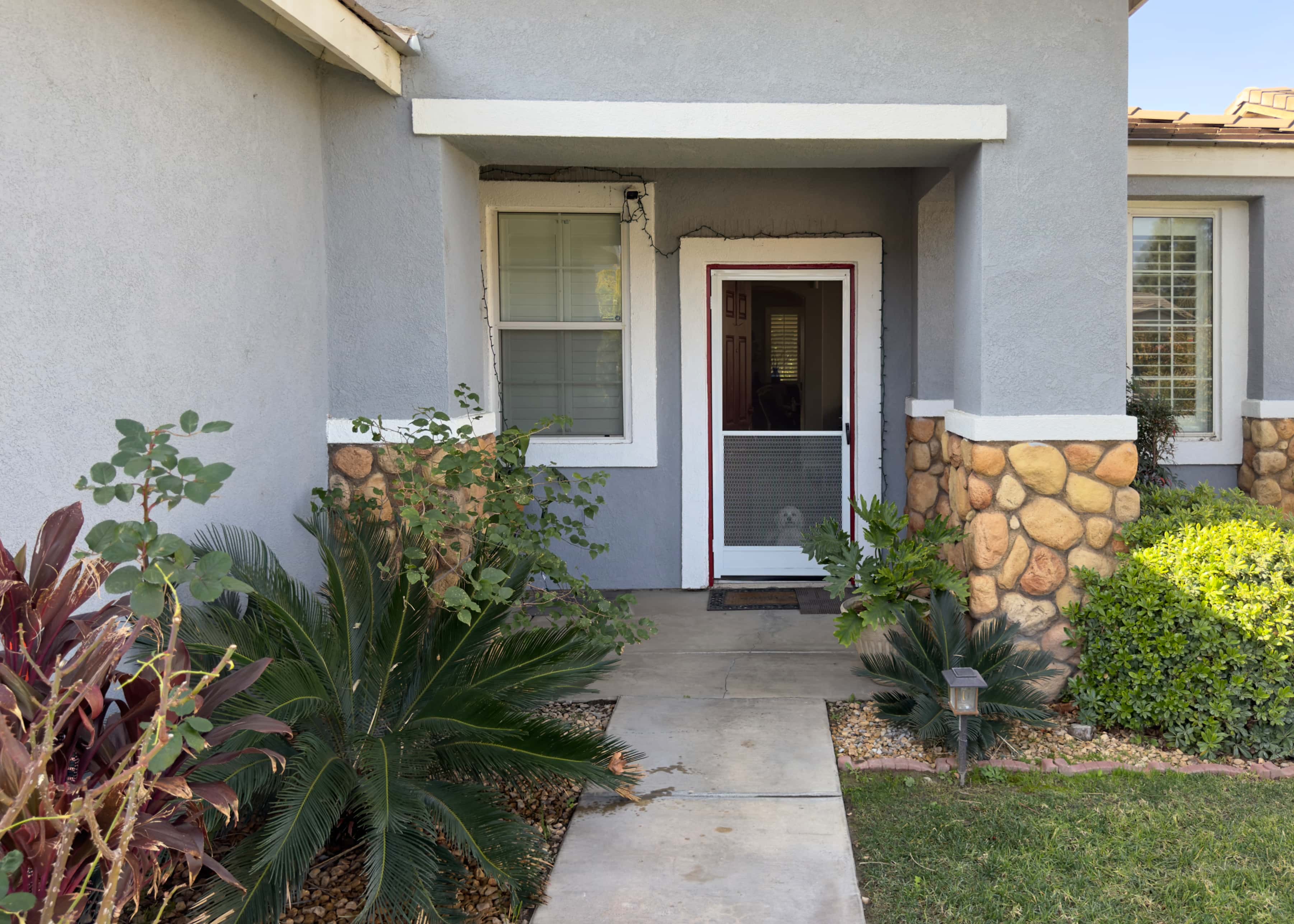 A photo of the front porch, lined with plants in different shades of green. The front door is open while the screen door is closed and obscuring a small white dog peering out from inside.