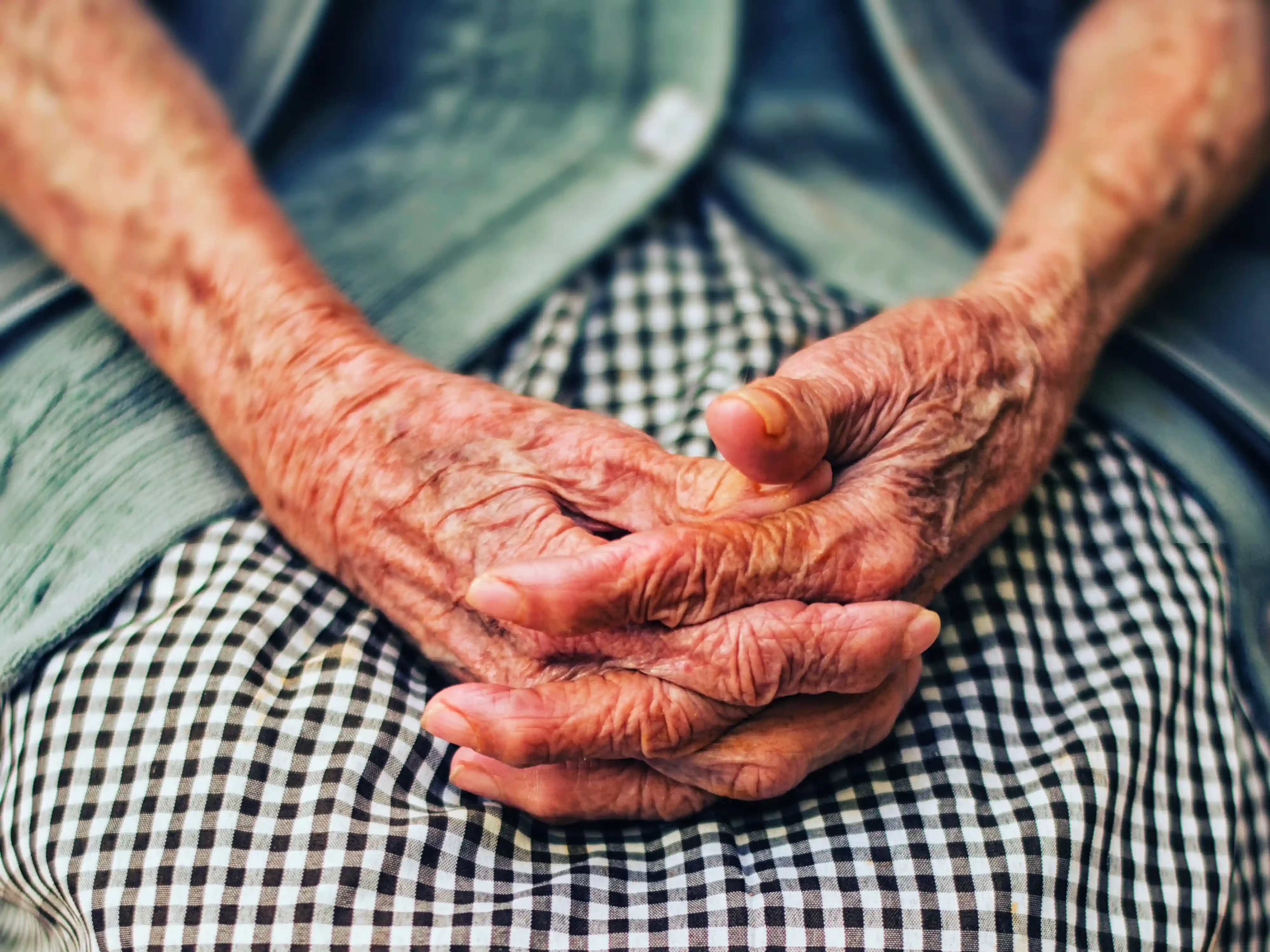 A pair of wrinkled and spotted with age gently interlocked in their owner's lap.